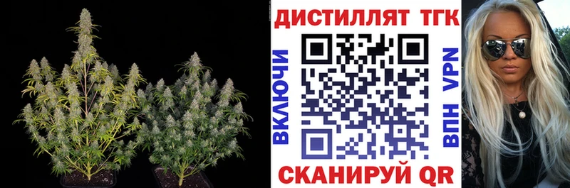 ТГК концентрат блэк спрут ТОР Апшеронск