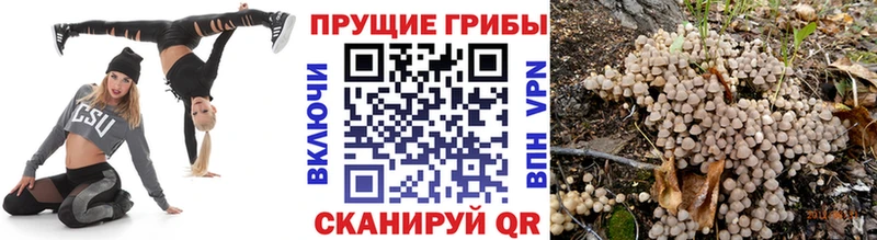 Псилоцибиновые грибы мухоморы Апшеронск